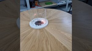 Стол Великий Очаг (Дуб Натур - 100 см)