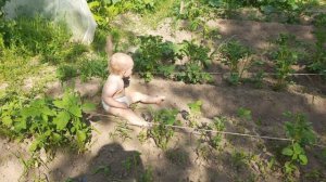 купаемся на даче.Лето,жара.