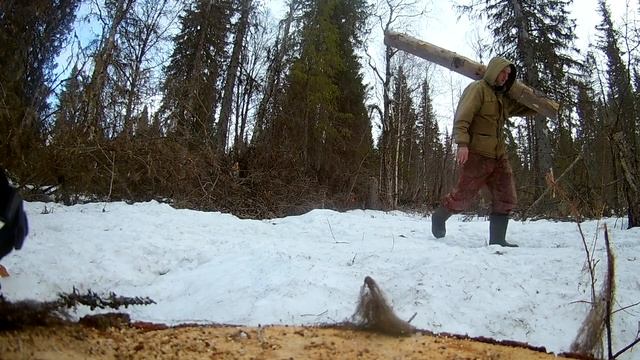 Зимовье(изба),весна,будни таежника,каракат.