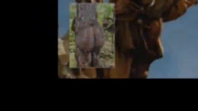 Необычные формы деревьев смотреть онлайн