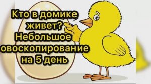 Кто в домике живет? Небольшое овоскопирование на 5 день икубации