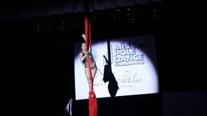 Воздушная гимнастика на полотнах (Иванченко Александра)