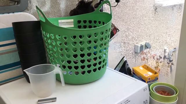 dendrophylax lindenii update смотреть онлайн