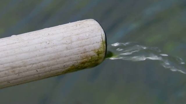 Nikon Coolpix P500 test смотреть онлайн