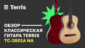 Классическая гитара Terris TC-3801A NA