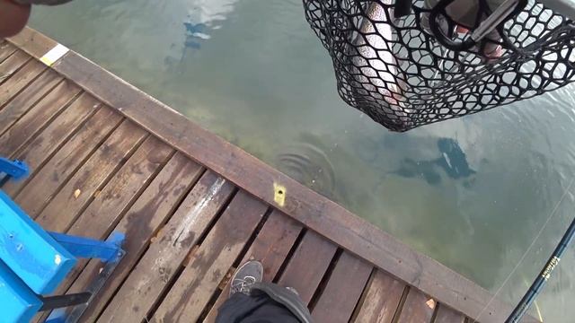 Турнир по ловле форели Valkein 2021 смотреть онлайн