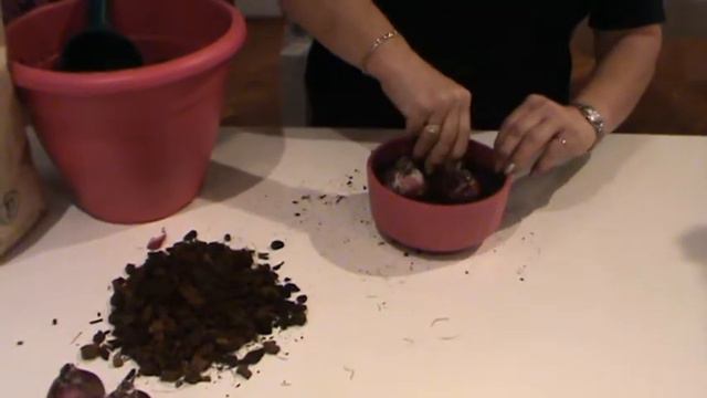 Bulb Planting with Jeannine at Bents Garden & Home смотреть онлайн