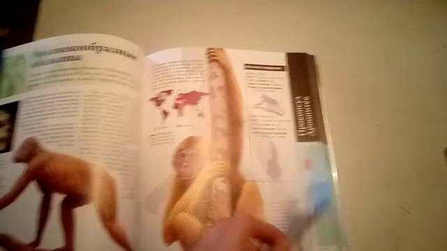 Большая энциклопедия животные доледникового периода смотреть онлайн