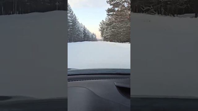 лесная дорога в Томской области зимой смотреть онлайн