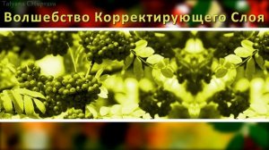 Волшебство корректирующего слоя|ProShow Producer/ 16+