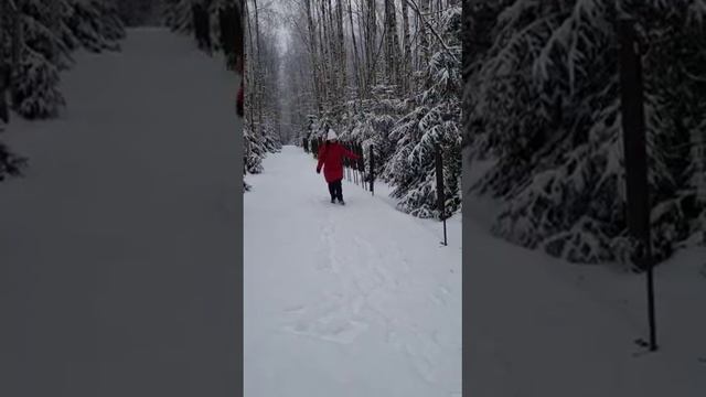 В самом большом арт-парке Европы Николо-Ленивце зимой интереснее, чем летом