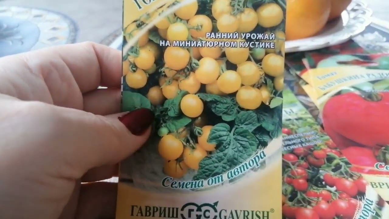 Горшечно желтый и рубиновые бусы. Обзор сортов томатов
