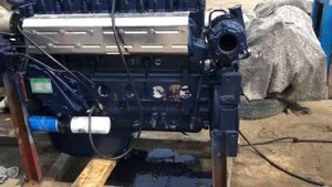 Как запустить новый WP12