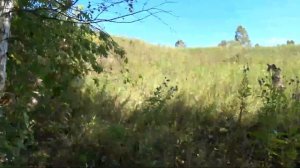 Нашли не грибы, а заброшенную ракетную часть