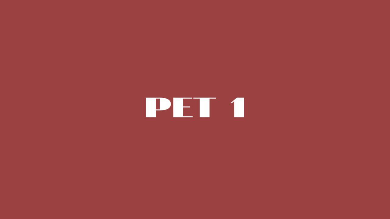 PET 1 разбор ошибок Lesson 26