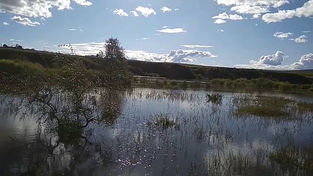 Амур - батюшка! смотреть онлайн