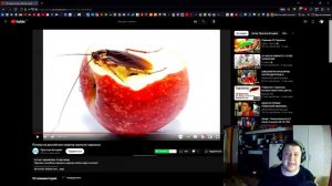 КУДА ПРОПАЛИ ТАРАКАНЫ