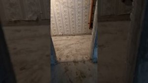 Полностью демонтировали старую стяжку в панельном доме (80-х годов) ???