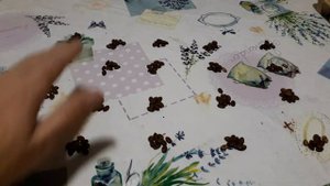 Добываем семена гледичии