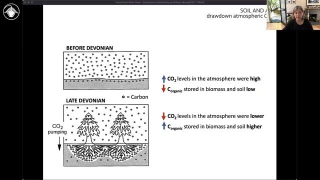 Deep Time Module 4: Creating soil and changing the atmosphere смотреть онлайн