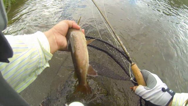 Catch & Release tour 2014 (Fishing Buddy Club) смотреть онлайн