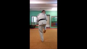 Taekwondo WTF  Удары ногами  Ти Чаги