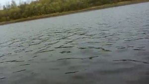 Рыбалка на Сысоле с семьей.🐟