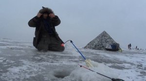 Корюшка на финском заливе!Порт Бронка! Бешенный клёв корюшки в глухозимье!