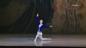 GRAND PRIX WINNER|Михаил Баркиджиджа- Prince Siegfried VAGANOVA PRIX 2018