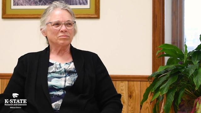 The Extension Mission смотреть онлайн