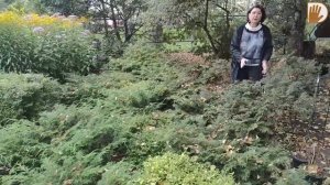 "САДЫ со ВКУСОМ" от Ирины Сахаровой. СТИЛЬНЫЙ САД и ЦВЕТНИКИ в Архангельске.