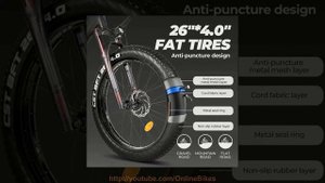 Eahora AM200 750W Full Suspension Fat Tire Mountain Electric Bike