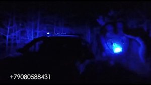 СГУ Элина на новых авто ДПС (шкода октавия, хендай солярис) 2021