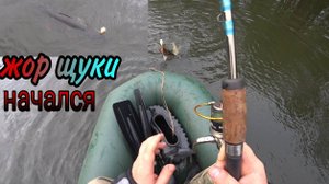 ЖОР ЩУКИ ОСЕНЬЮ. СПИННИНГ В ДЕЛЕ.