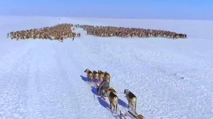 Как выглядит тундра с вертолёта? Каким спортом занимаются на Крайнем Севере. Борьба ненцев | Ясавэй