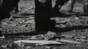 «Русские, вперед!» — фанаты «Зенита» сделали мощный клип о том, за что сражается русский человек.