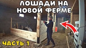 Большой этап в Строительстве фермы пройден. Делаю денники для лошадей.