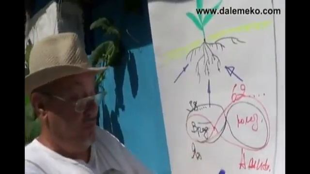 Школа органического земледелия. Органическое земледелие с чего начать. Как получить большой урожай.