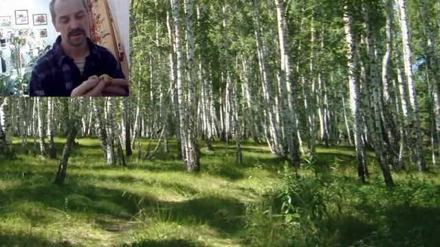Сувенирные лапти из бересты