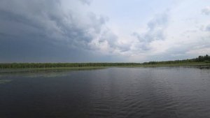 Тростенское озеро Рузский район