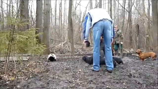 притравка27 апреля 2013 г смотреть онлайн