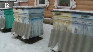 "Местные жители" с Оксаной Савочкиной (15.12.20)