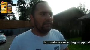 Биогард   чистим газон от сорняков