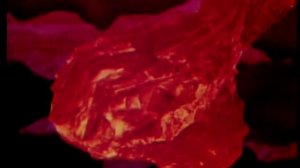 Трубка Мира