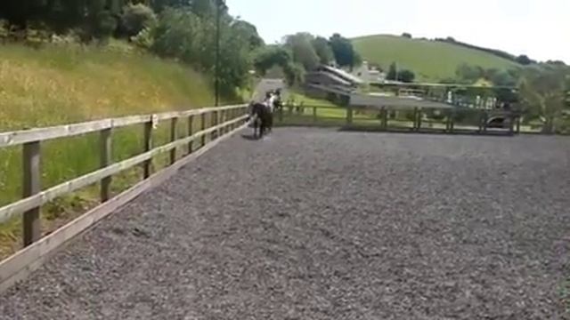 Denza 1 смотреть онлайн