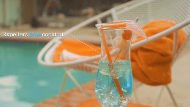 Conversa com Placebo смотреть онлайн