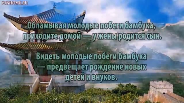 К чему снится Молодые побеги сонник, толкование сна смотреть онлайн