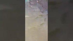 ДОВОДКА ЗОЛОТА