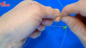 Рабочая рыболовная снасть с отводными поводками. #сазан