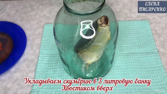 МАЛОСОЛЬНАЯ СКУМБРИЯ ЗА 48 ЧАСОВ | Улётная рыбка - вкусно, что остановиться трудно?